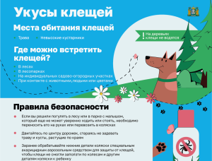 В Урайской больнице зафиксировано 169 обращений из-за укусов клещей