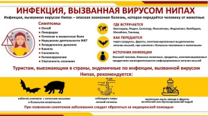Инфекция, вызванная вирусом нипах 