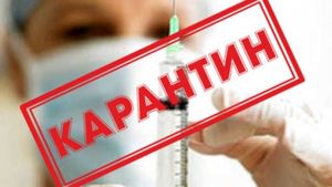 Внимание, карантин!