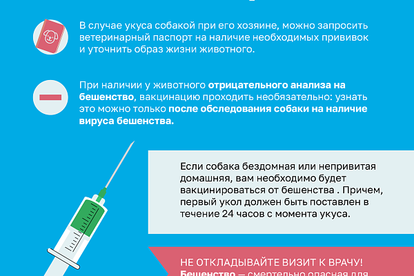 Как не стать жертвой укуса собаки?