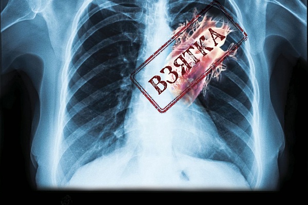 Кузнецова Станислава, 22 года, г. Москва