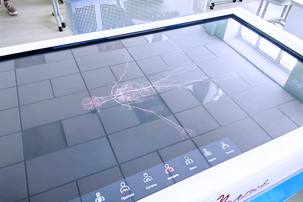 Новый медицинский класс открывает двери для будущих врачей