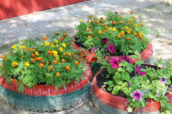 Море цветов, классики и веселый пасечник. В Урайской больнице подвели итоги конкурса на лучшую благоустроенную территорию 