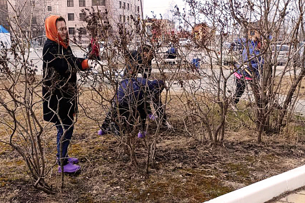 Наши субботники продолжаются!