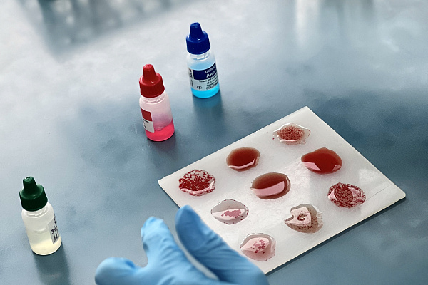 Учащимся медкласса рассказали, как донорская помощь меняет мир 