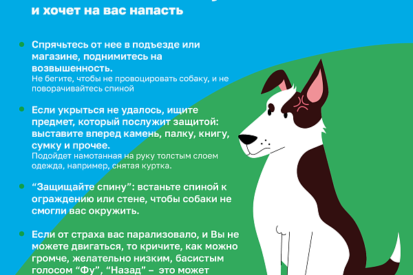 Как не стать жертвой укуса собаки?