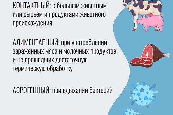 Бруцеллез — острое инфекционно-аллергическое, зоонозное заболевание