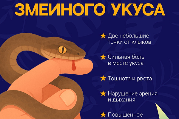 Внимание: Опасность!