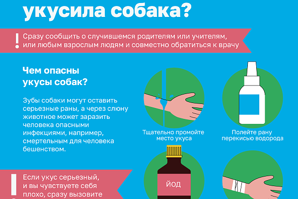 Как не стать жертвой укуса собаки?