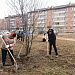 Наши субботники продолжаются!