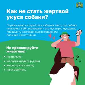 Как не стать жертвой укуса собаки 