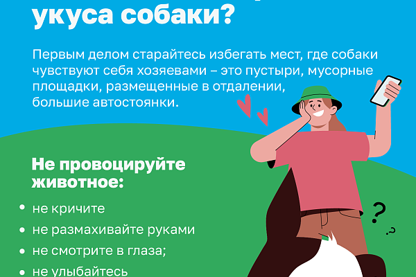 Как не стать жертвой укуса собаки?