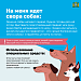 Как не стать жертвой укуса собаки?