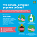 Как не стать жертвой укуса собаки?